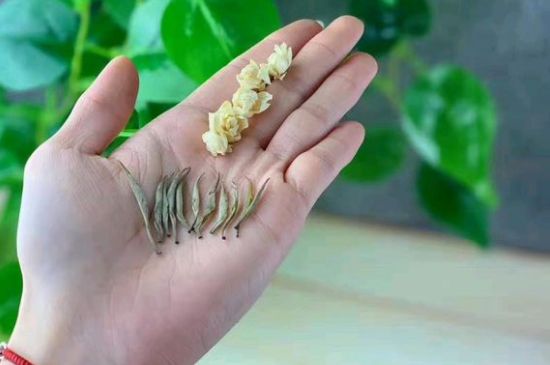 茉莉銀針口感，茉莉銀針是什么味道？