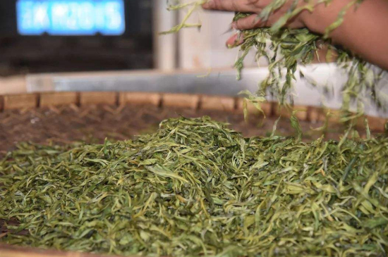 炒青綠茶與綠茶的區(qū)別，烘青和炒青哪個(gè)好喝？