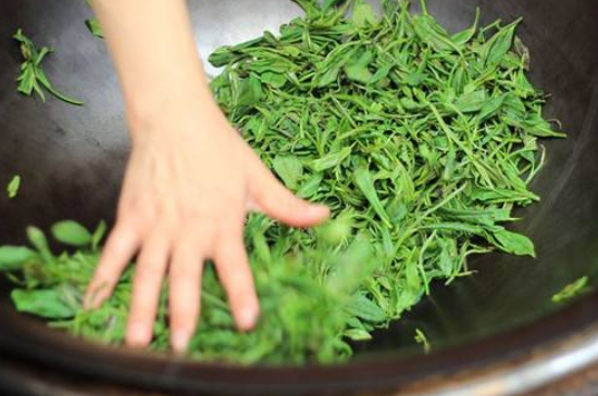 炒青綠茶與綠茶的區(qū)別，烘青和炒青哪個(gè)好喝？