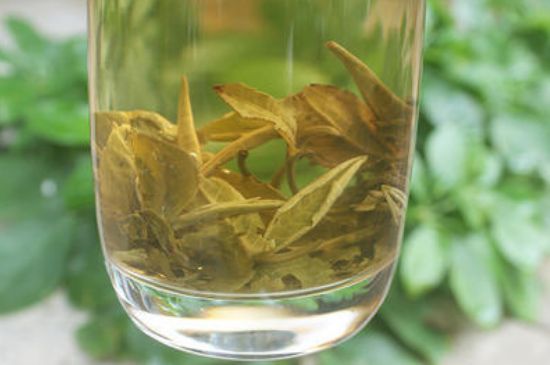 茉莉龍珠泡開后為什么都是梗，茉莉龍珠泡開后什么樣？