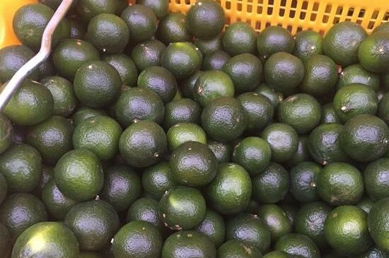 家庭自制柑普茶方法，小青柑制作9個步驟竅門（圖片）