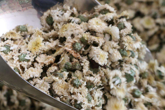 菊花茶買小朵還是大朵，泡茶用的小菊花和大菊花哪個好