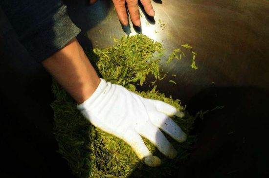 茶葉怎么炒制才香，怎樣炒茶葉更香？