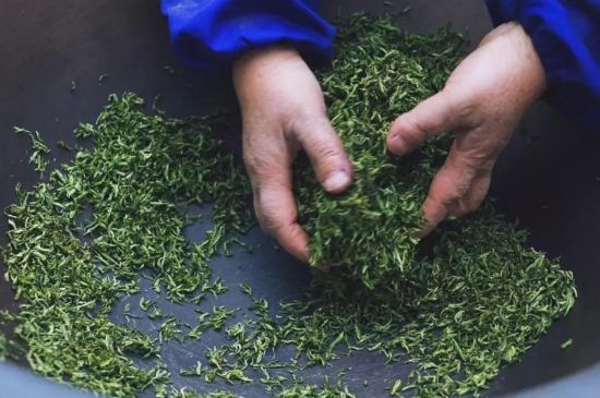 自家炒茶葉怎么炒，自己炒茶葉的步驟
