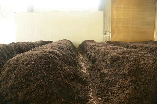 制茶八步驟，制茶工藝流程圖