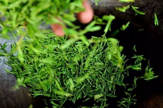 龍井茶炒茶葉怎么炒出好茶色，茶葉怎樣做出來最綠？