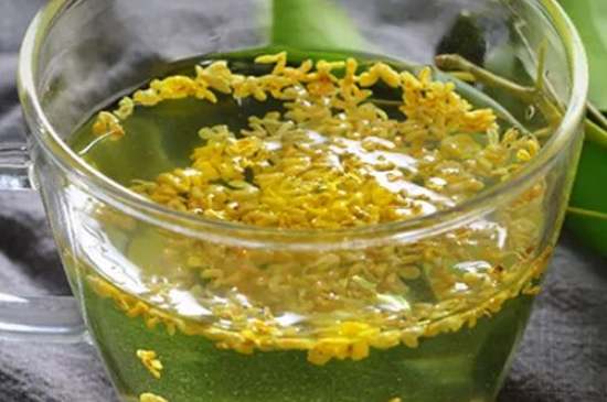 茉莉茶一次泡幾朵，茉莉茶放多少