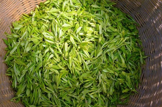 烏牛早和龍井的區(qū)別圖片，龍井43號和烏牛早茶的對比