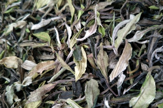 福鼎白茶貢眉和壽眉的區(qū)別，壽眉與貢眉有什么區(qū)別