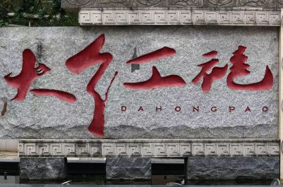 母樹(shù)大紅袍給誰(shuí)喝了，為什么母樹(shù)大紅袍叫三棵六株？