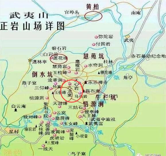 母樹(shù)大紅袍給誰(shuí)喝了，為什么母樹(shù)大紅袍叫三棵六株？