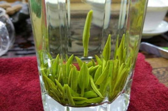 雀舌有一股青草味，雀舌為什么有青草味？