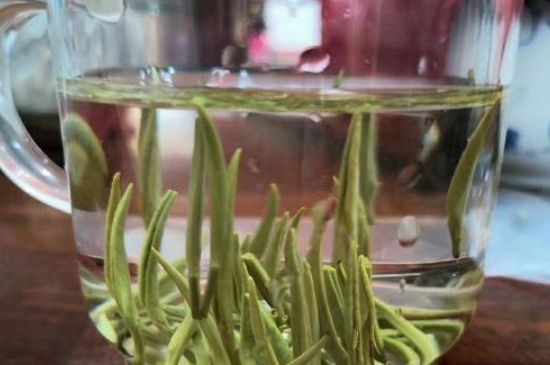 踏雪蘭妃是什么茶，踏雪蘭妃是哪里的茶葉?