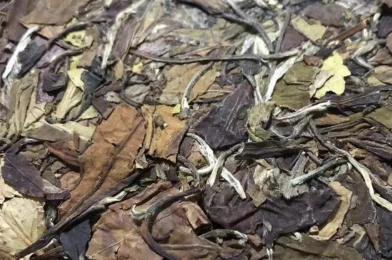 老白茶上火還是去火？夏季喝煮的老白茶會容易上火！