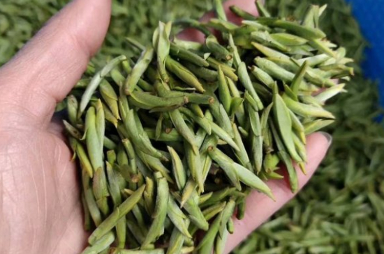 龍井茶好壞的鑒別圖片，如何區(qū)別龍井茶的好壞？