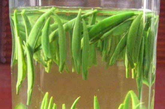 竹葉青和毛尖的區(qū)別，毛尖和竹葉青怎么分辨？