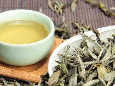 大紅袍好還是白茶好，福鼎白茶和大紅袍哪個貴？