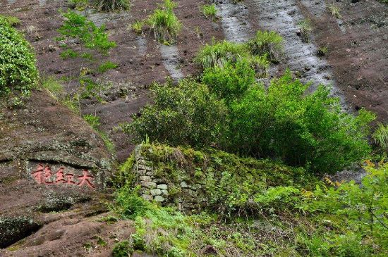 武夷巖茶大紅袍，喝起來是什么味道？