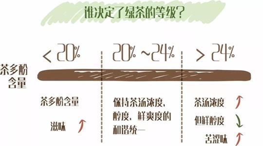 什么綠茶口味重口感濃郁，口味比較重的綠茶都有那些？