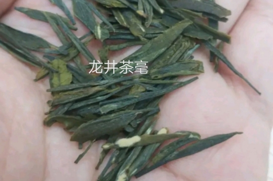 西湖龍井茶毫和發(fā)霉區(qū)別圖片，長霉的龍井茶葉會是什么樣？