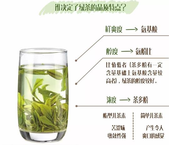 什么綠茶口味重口感濃郁，口味比較重的綠茶都有那些？