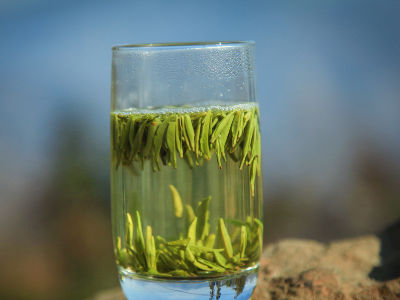 竹葉青茶怎么樣，檔次較高味道略苦價(jià)格比較貴