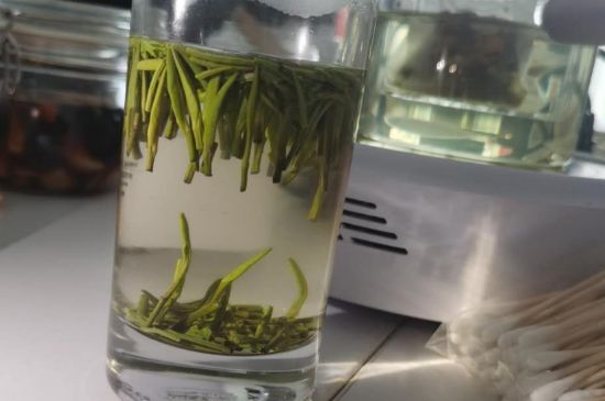 金壇雀舌算不算好茶，金壇雀舌屬于什么檔次茶葉？