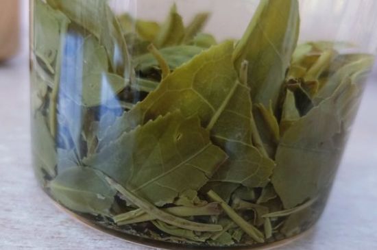 綠茶陳茶和新茶區(qū)別，綠茶怎樣區(qū)分新茶和陳茶