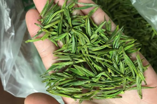 什么綠茶茶葉唇齒留香，哪個(gè)品種綠茶香氣好？