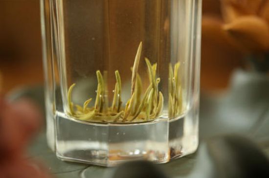 踏雪蘭妃是什么茶，踏雪蘭妃是哪里的茶葉?