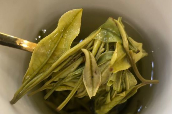 新舊白茶怎么區(qū)分，怎么分辨白茶是新還是舊