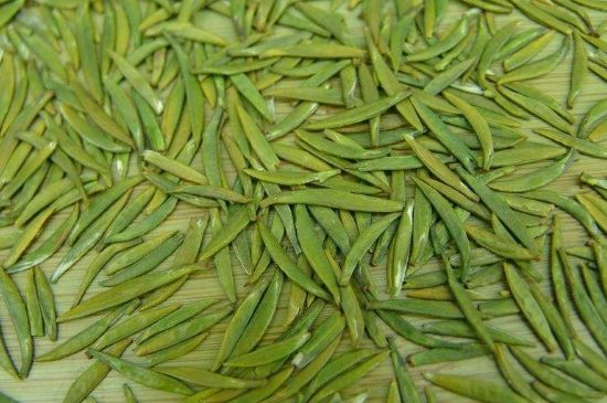 竹葉青和毛尖的區(qū)別，毛尖和竹葉青怎么分辨？