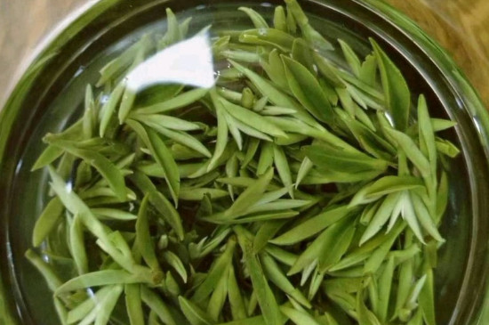 什么綠茶茶葉唇齒留香，哪個(gè)品種綠茶香氣好？