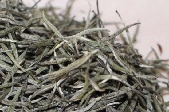 什么人不能喝白茶，白茶不宜什么人喝？