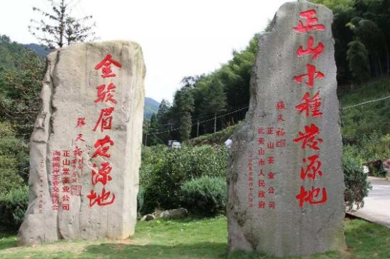 300塊錢的金駿眉能喝嗎，兩三百多金駿眉和一千多區(qū)別