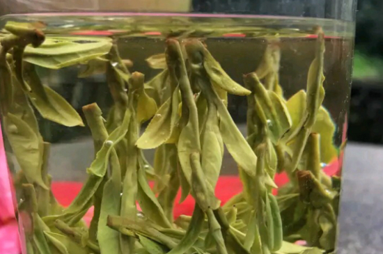 什么綠茶最香最好喝，綠茶口感與香氣排名