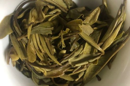 三年白茶賽砒霜，這是真的嗎？