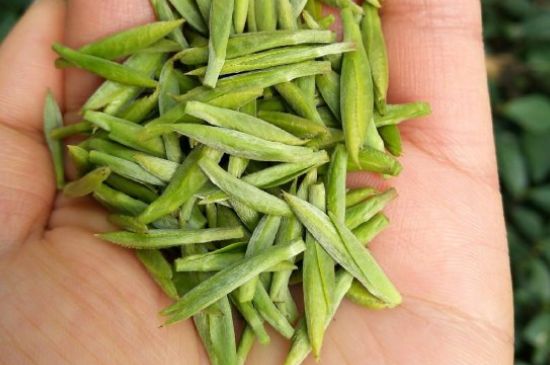 什么綠茶味道濃香，那個(gè)綠茶比較濃香？