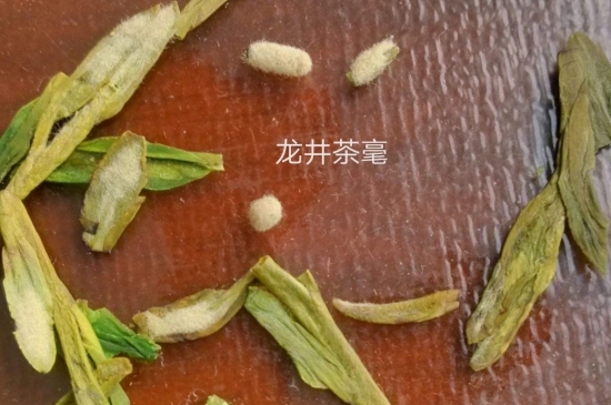 西湖龍井茶毫和發(fā)霉區(qū)別圖片，長霉的龍井茶葉會是什么樣？