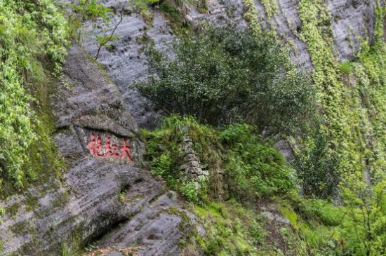 大紅袍為什么沒保質(zhì)期，武夷巖茶大紅袍能放幾年？