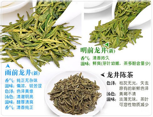 西湖龍井新茶和陳茶的區(qū)別，怎么區(qū)分龍井新茶和舊茶？