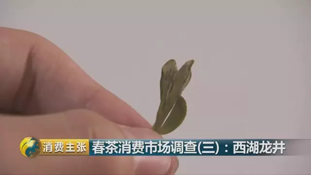 龍井群體種和43號(hào)的區(qū)別圖片，龍井43和群體種哪個(gè)好喝？