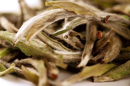 荒野銀針有什么特點(diǎn)，荒野銀針的味道口感咋樣？