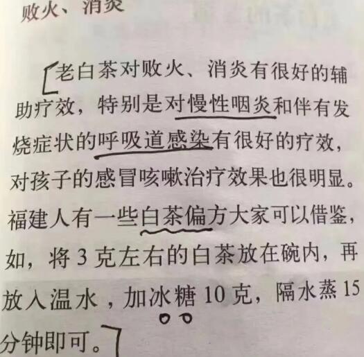 老白茶上火還是去火？夏季喝煮的老白茶會容易上火！