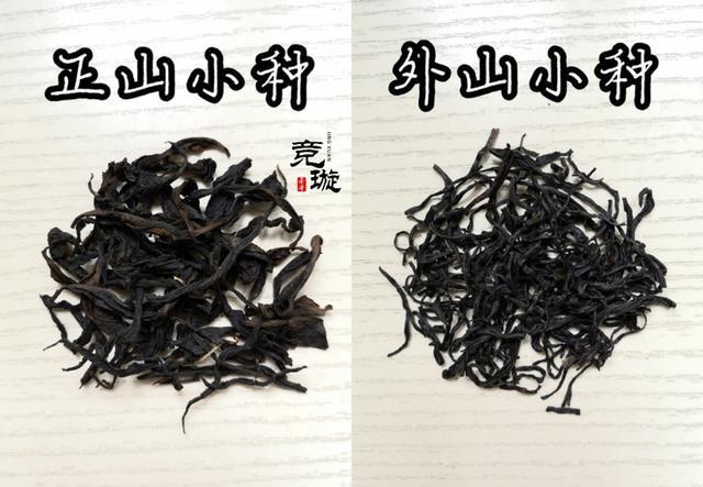 正山小種很細還很黑亮，正山小種越細越好嗎