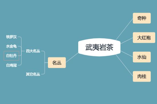 武夷巖茶品種大全，巖茶有幾種？