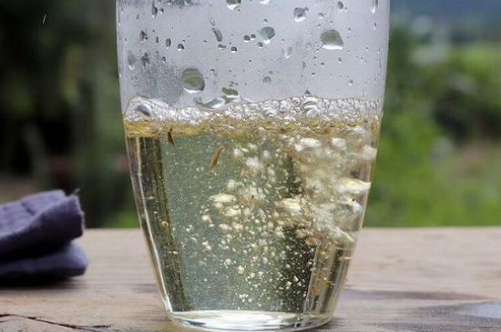 三年白茶賽砒霜，這是真的嗎？