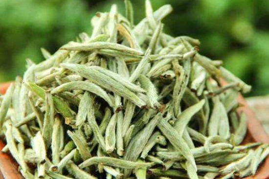 白毫銀針年份越久越好嗎，銀針白毫是否越陳越好