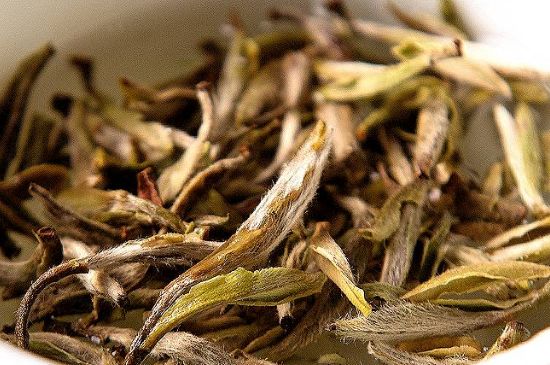 荒野銀針市場價多少，真正的荒野白毫銀針多少錢？