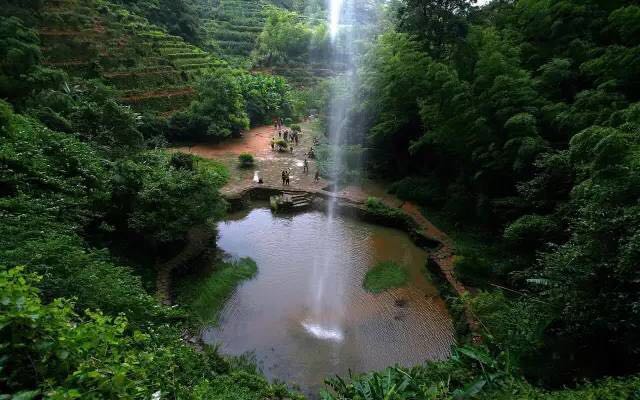 武夷山為什么盛產(chǎn)茶葉，武夷山茶為什么好喝？